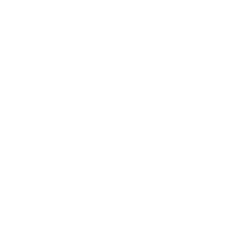 Logo officiel team LRT MX2 Version longue